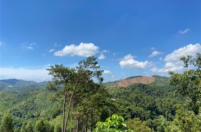 最有女人味的网名(共1207个)