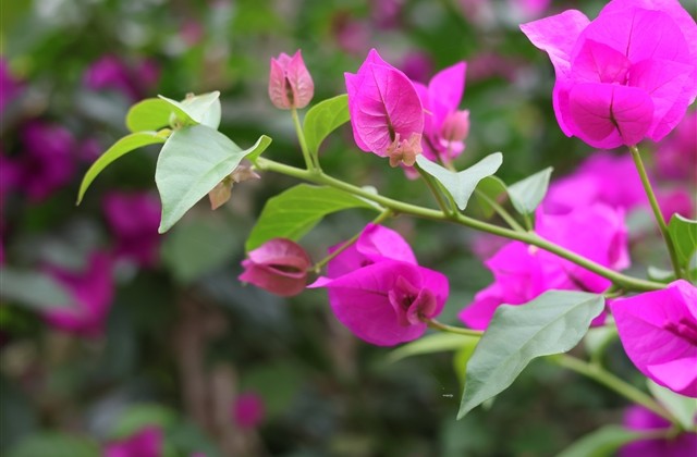 简简单单的女生气质网名(精选1195个)