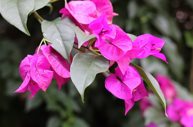 女生简单气质四个字游戏名(共1186个)