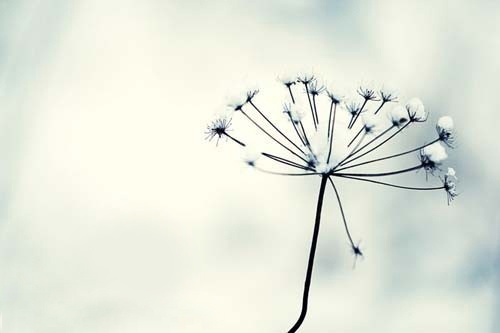 2023年形容工作不顺利的说说(58句)