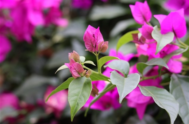 好听的三个字游戏名