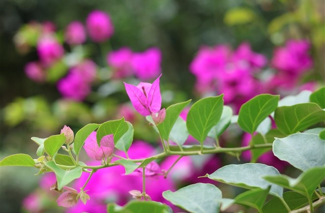 最新简单的网名大全(893个)