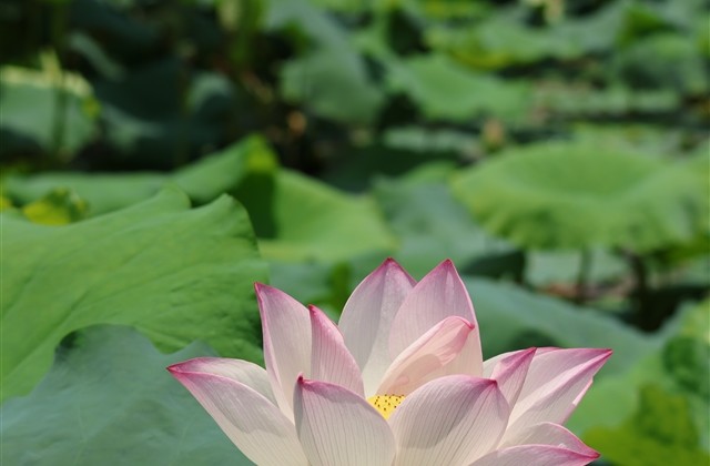 cf五字搞笑幽默名字(优选805个)