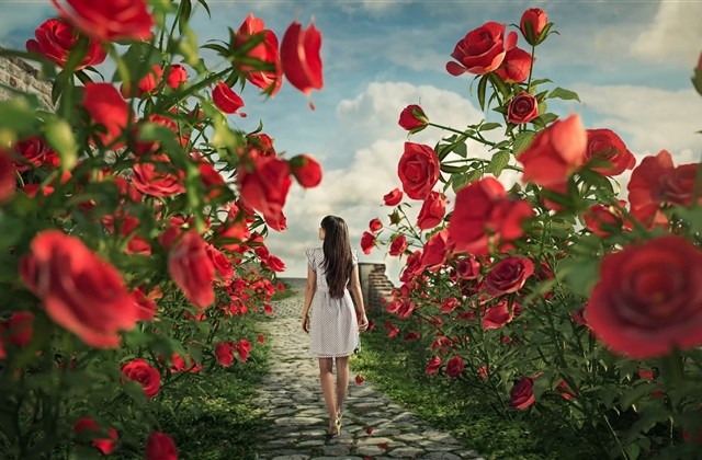 cf五字搞笑幽默名字(优选805个)