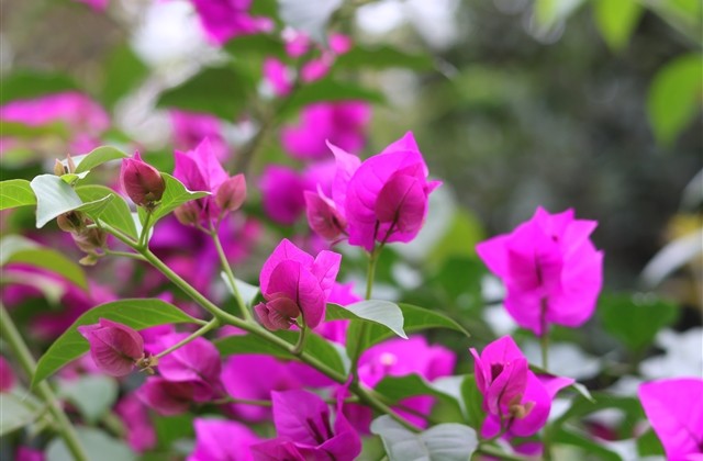 2023年最新微信网名(共900个) 2023年最新微信网名(共900个)