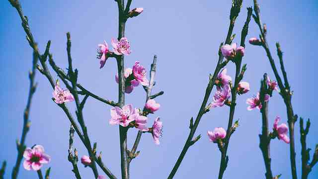 初一好词好句摘抄大全