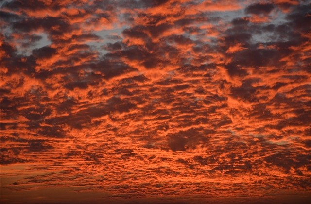 天刀游戏雅而不俗的名字(精选750个) 天刀游戏雅而不俗的名字(精选750个)