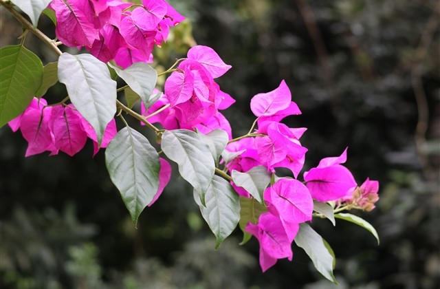 简单深奥的个性昵称(优选424个)