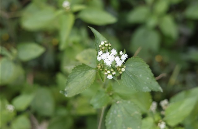 超帅的个性炫酷男生游戏网名(精选408个) 超帅的个性炫酷男生游戏网名(精选408个)