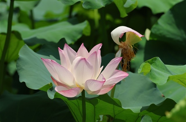 超可爱女生网名大全(共399个) 超可爱女生网名大全(共399个)