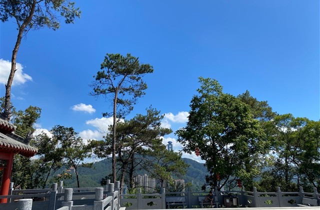 诗意古风女生游戏名字2023(93个) 诗意古风女生游戏名字2023(93个)