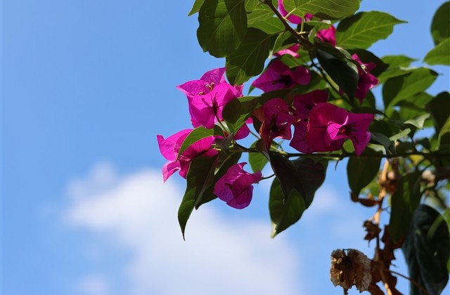 超拽霸气十足男生微信网名(共79个) 超拽霸气十足男生微信网名(共79个)