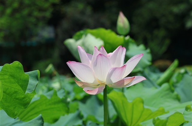 超级好听的闺蜜网名 闺蜜网名两个人 超级好听的闺蜜网名 闺蜜网名两个人