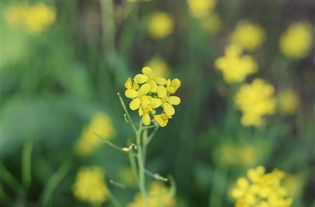 成熟伤感的男网名(精选638个) 成熟伤感的男网名(精选638个)