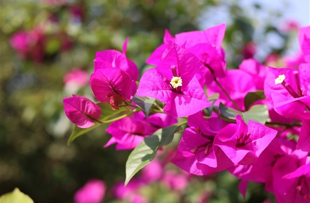 成熟伤感的男网名(精选638个) 成熟伤感的男网名(精选638个)