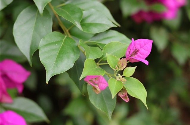 伤心欲绝的QQ网名男生(共637个) 伤心欲绝的QQ网名男生(共637个)