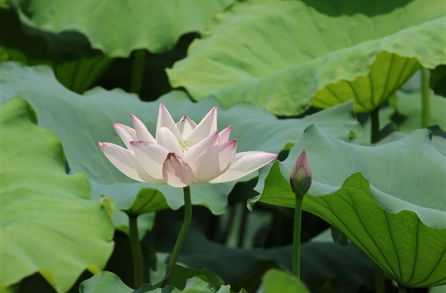 有格局昵称(优选572个) 有格局昵称(优选572个)