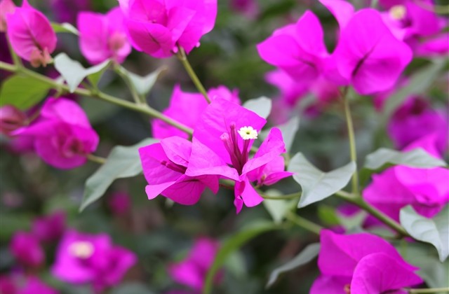 全世界最好看最可爱的的网名(564个) 全世界最好看最可爱的的网名(564个)