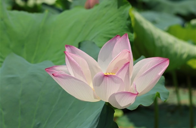 最有品位的男人网名经典(共577个) 最有品位的男人网名经典(共577个)