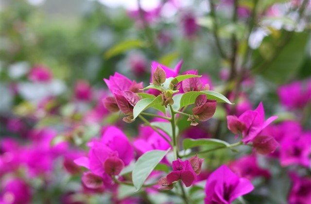 伤感绝望的游戏id(精选579个) 伤感绝望的游戏id(精选579个)