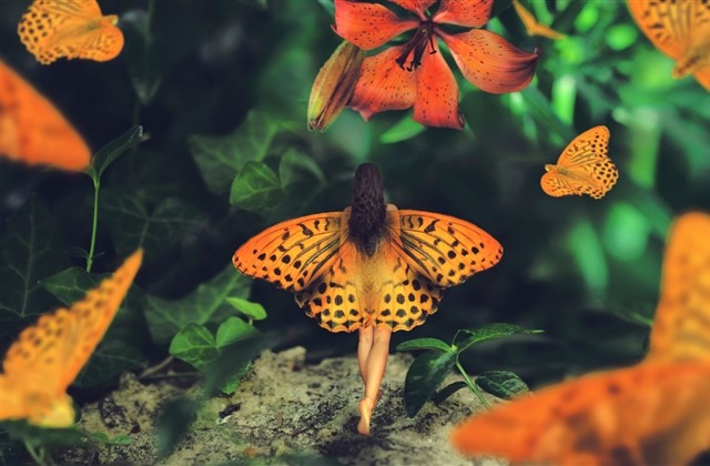 伤感绝望的游戏id(精选579个) 伤感绝望的游戏id(精选579个)