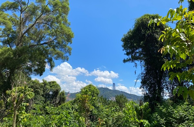 女生伤感网名好听心碎清墨悲秋(560个) 女生伤感网名好听心碎清墨悲秋(560个)