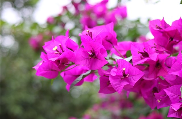 独一无二的四字网名(优选412个) 独一无二的四字网名(优选412个)