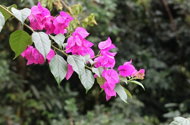 独一无二的四字网名(优选412个) 独一无二的四字网名(优选412个)