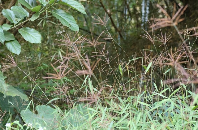 独一无二的四字网名(优选412个) 独一无二的四字网名(优选412个)