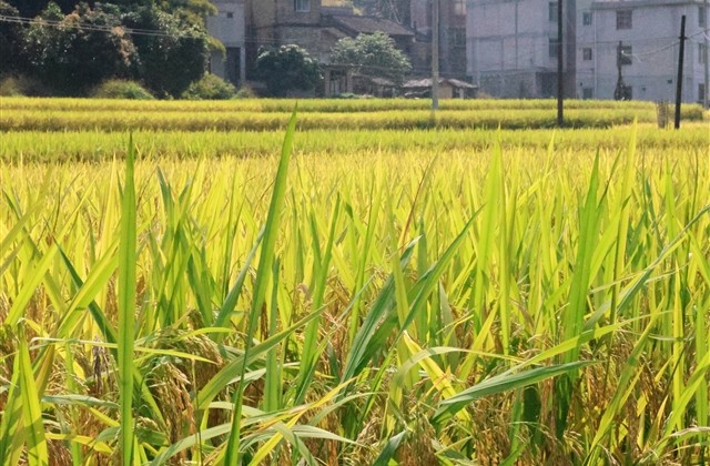 刺激战场名字大全三个字(精选466个) 刺激战场名字大全三个字(精选466个)