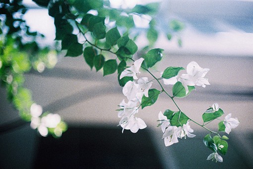 超美比喻句24句