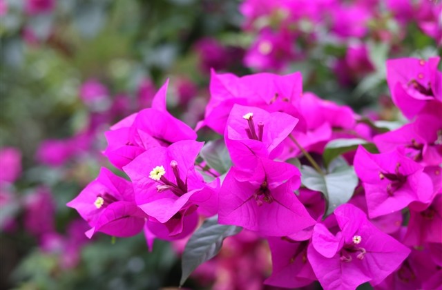 大话西游2四个字游戏名字(479个) 大话西游2四个字游戏名字(479个)