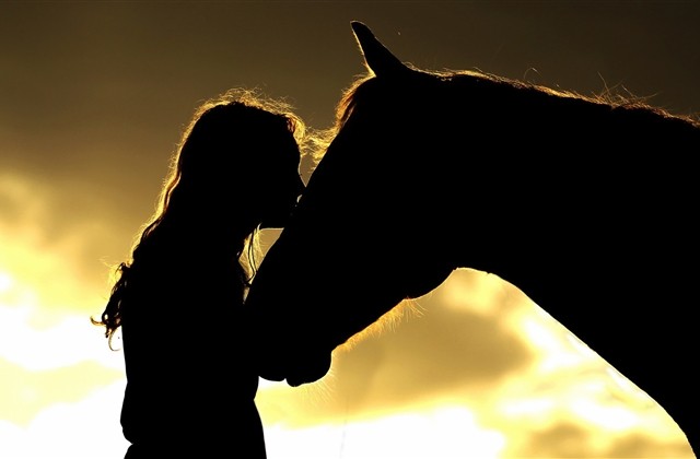 大话西游2四个字游戏名字(479个) 大话西游2四个字游戏名字(479个)