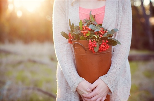 五个字网名大全男生(优选429个)