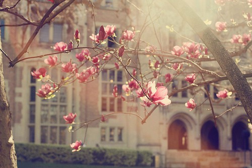 比喻句森林10句