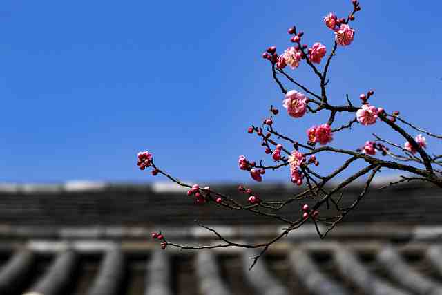 描写心里后悔的句子50句