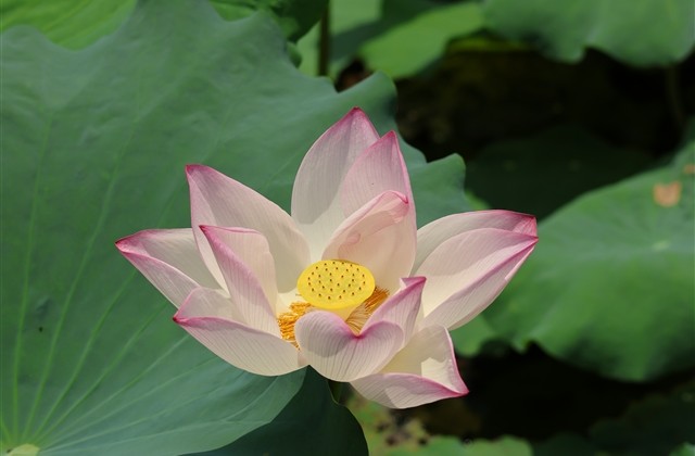 很有意境的两个字网名(精选462个) 很有意境的两个字网名(精选462个)