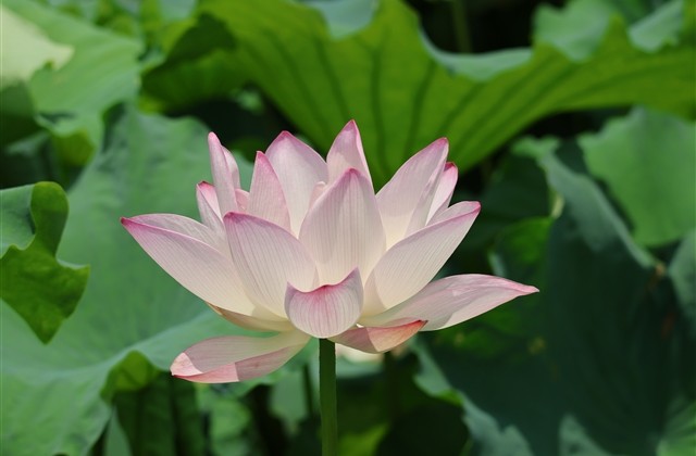 很有意境的两个字网名(精选462个) 很有意境的两个字网名(精选462个)