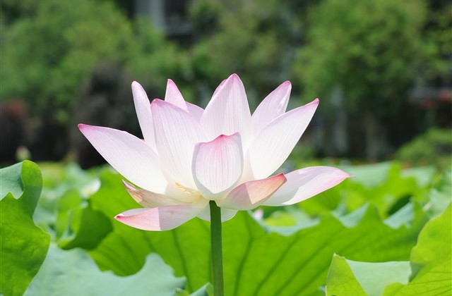 7个字的游戏名字搞笑(共263个) 7个字的游戏名字搞笑(共263个)