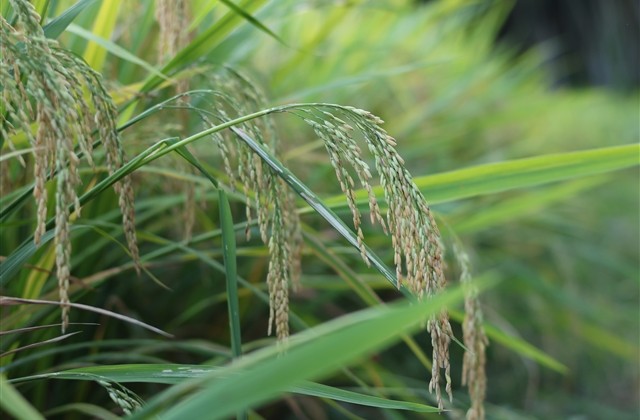 7个字的游戏名字搞笑(共263个) 7个字的游戏名字搞笑(共263个)