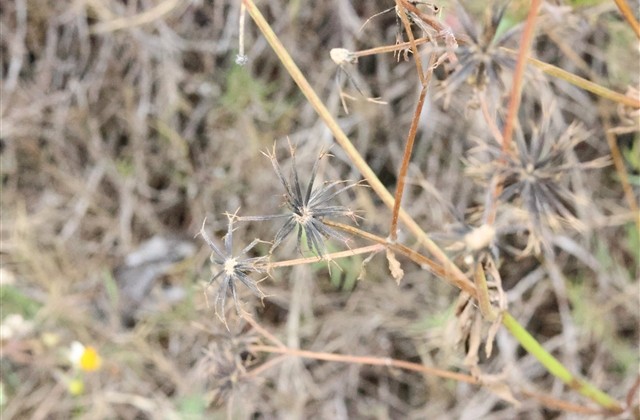 仙气飘飘女生古风网名(精选351个)