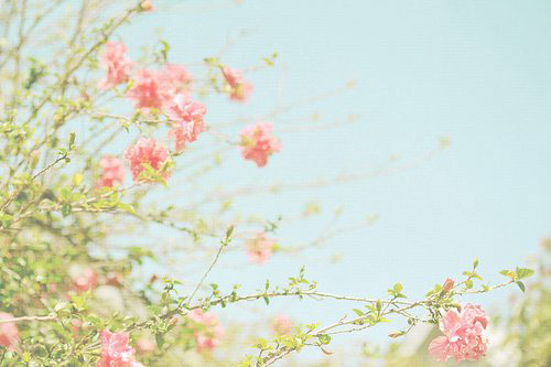 称赞女生的话80句