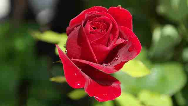 最令人拍案叫绝的20句老话,说透人心,经典又讽刺!