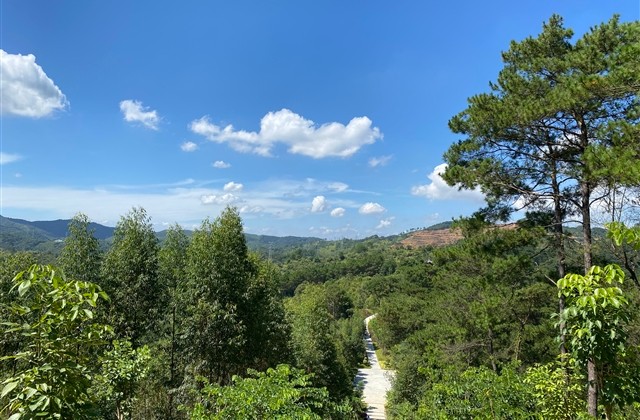 微信网名三个字简单独特(260个) 微信网名三个字简单独特(260个)