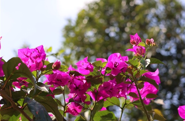 时光浅记忆qq网名(优选223个) 时光浅记忆qq网名(优选223个)