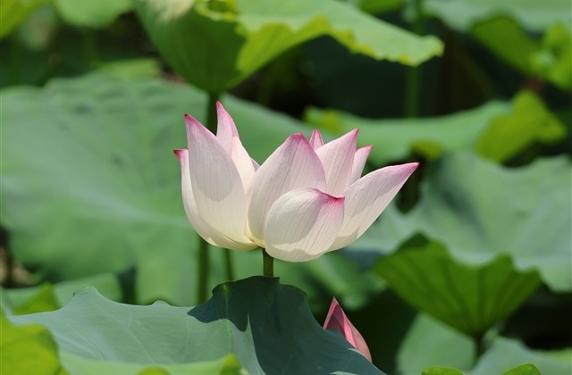 cf2个字情侣名字(共170个) cf2个字情侣名字(共170个)