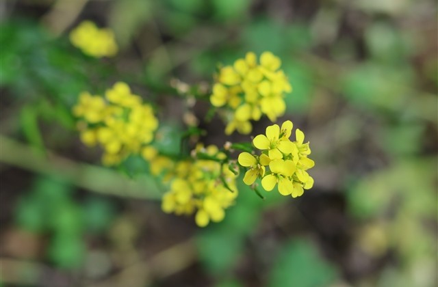 很酷的很社会的霸气昵称(206个) 很酷的很社会的霸气昵称(206个)