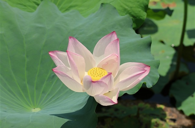 比较有文艺气息的男生内涵网名(优选205个) 比较有文艺气息的男生内涵网名(优选205个)