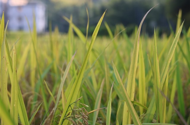 好听的微信昵称 好听的微信昵称