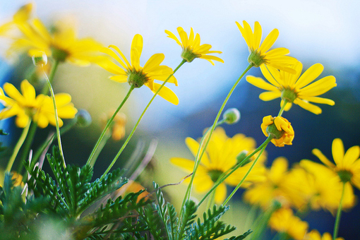 2023年哭肿了双眼的说说(52句)